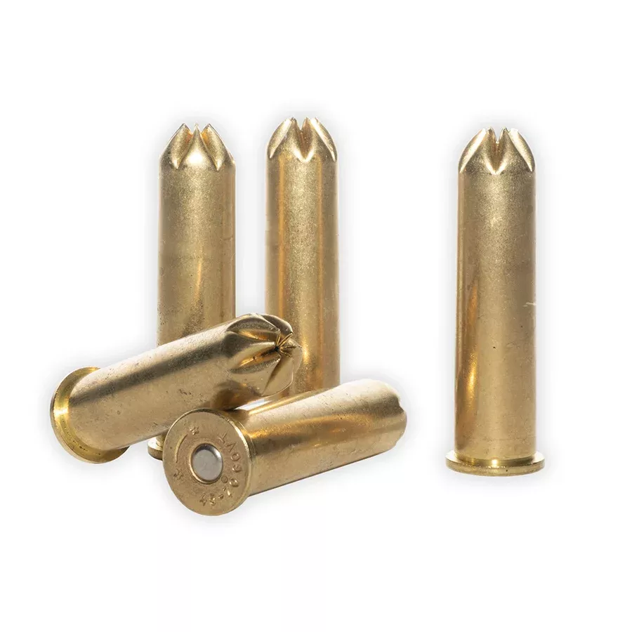 .45-70 / .45-70 Government