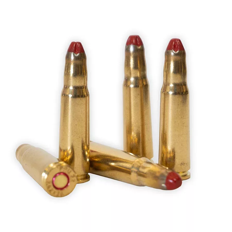 7.62 x 39 SKS / AK 47