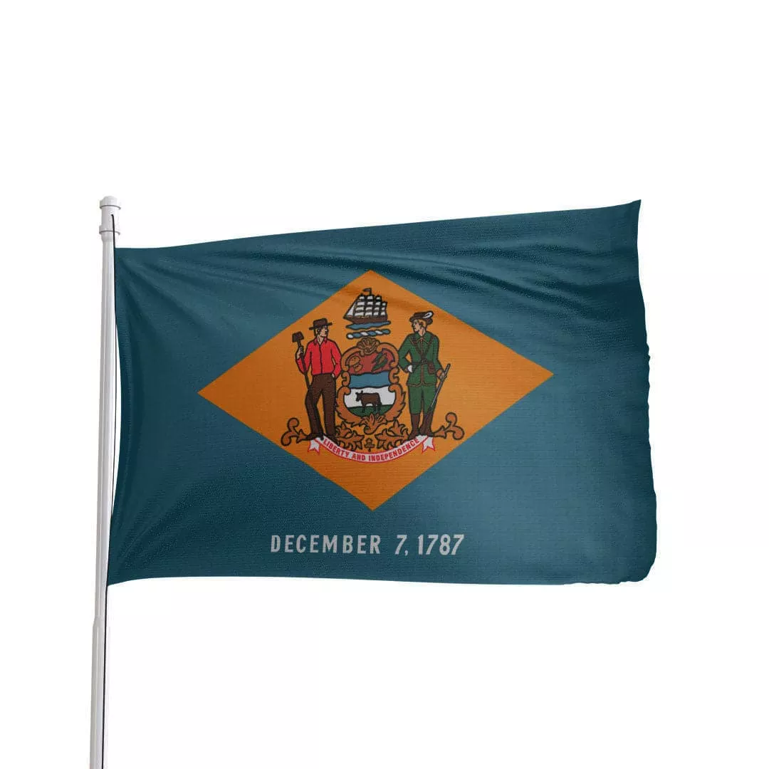 Delaware State Flag 3x5 - Durable Nylon, Colonial