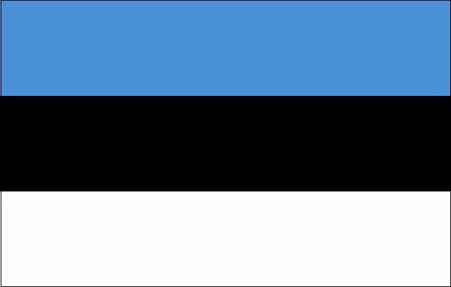 Estonia flag - All Nations Flag Co.
