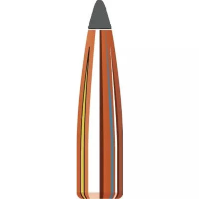Factory Seconds .204 Diameter 40 Grain Polymer Tip 100 Count Bullets
