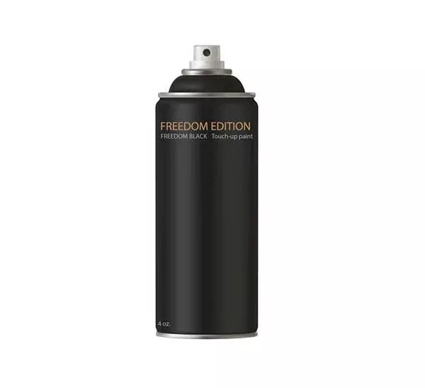 Flagpole Touch-up spray can – Freedom Black