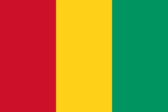 Guinea flag – All Nations Flag Co.