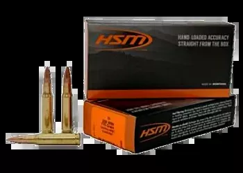 HSM - Subsonic Rifle