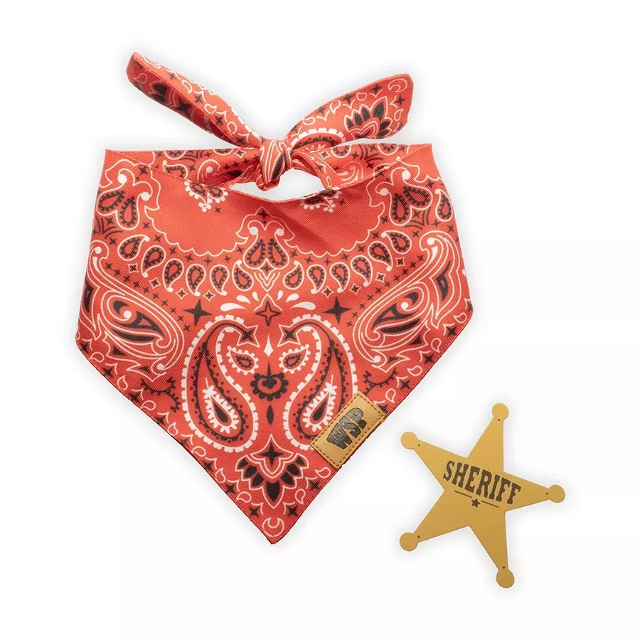 Kiddie Sheriff Badge & Scarf Dress-Up Set