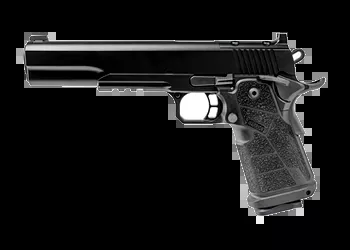Kimber - DS Warrior