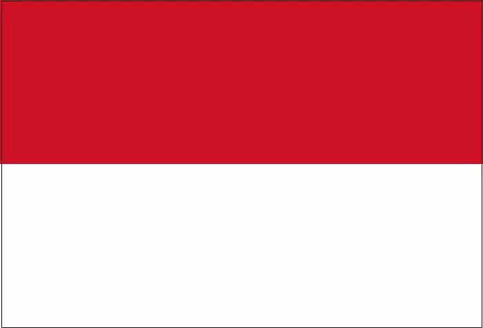 Monaco flag – All Nations Flag Co.
