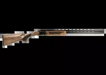 Pointer - Acrius