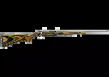 Ruger 77/22